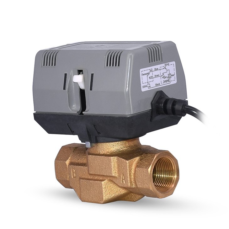 Motorized Control Valves